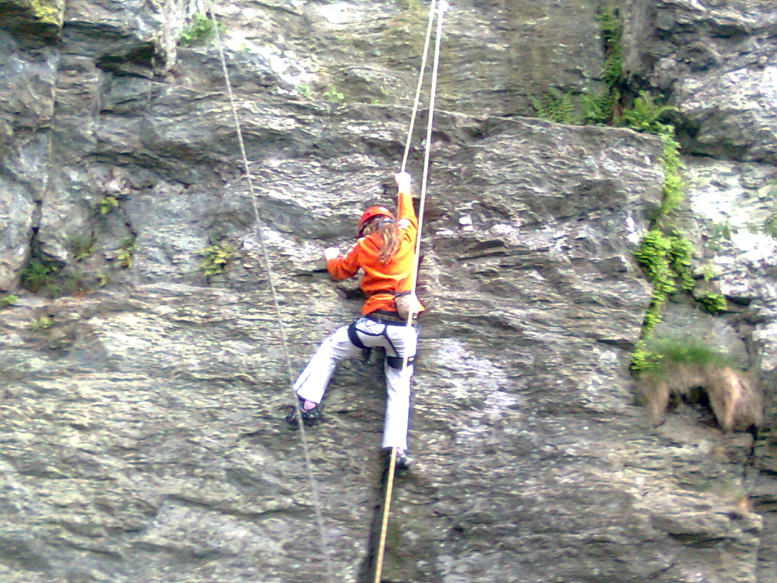 Obraz0407