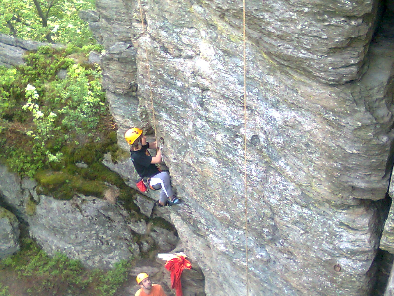 Obraz0459